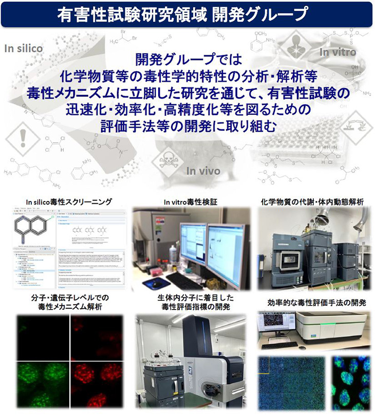 有害性試験研究領域開発グループでは化学物質等の毒性学的特性の分析・解析等毒性メカニズムに立脚した研究を通じて、有害性試験の迅速化・効率化・高精度化等を図るための評価手法等の開発に取り組む