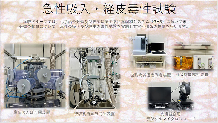 急性吸入・経費毒性試験