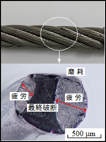 鋼製ワイヤロープの損傷評価