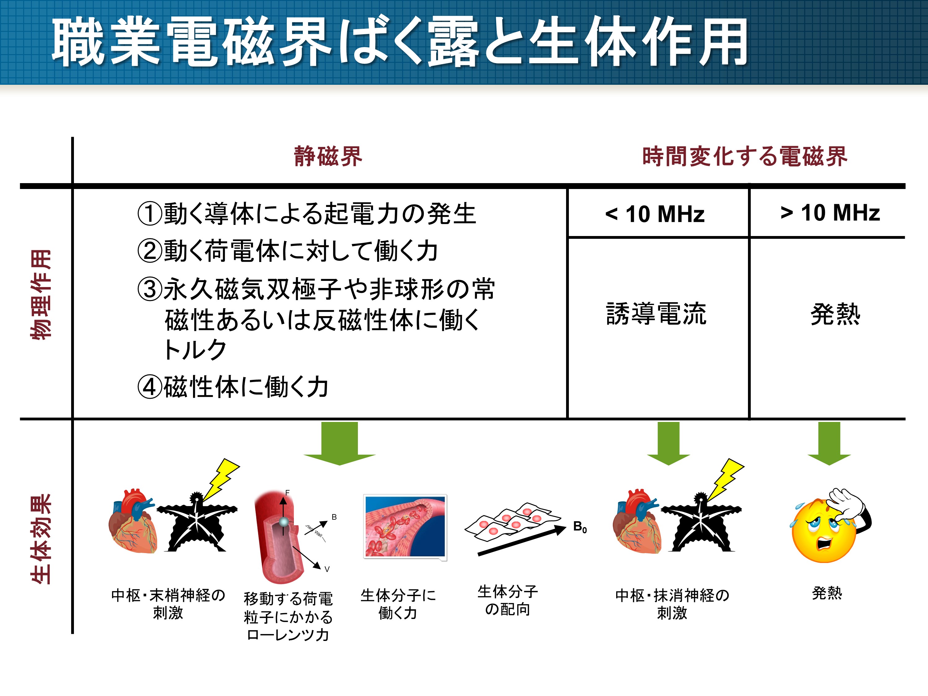 職業環境と電磁界ばく露（磁界ばく露）について | 労働安全衛生総合研究所