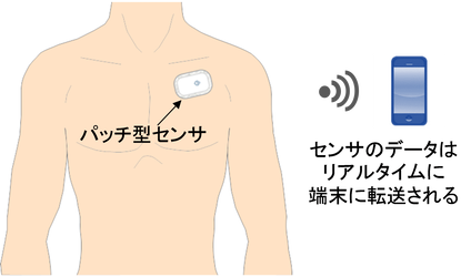 センサー 体温計