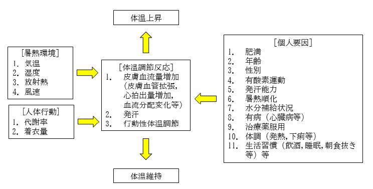 体温 低い 症 熱中