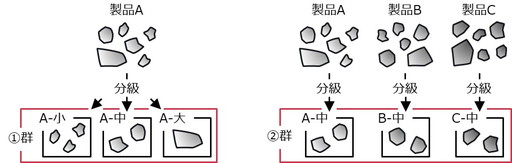 図２ 被験物質のイメージ図