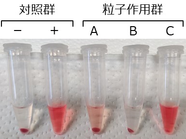 図３ 溶血性試験の実例
