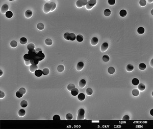 図2　孔径1 μmのPCフィルターのSEM画像（倍率5000倍）