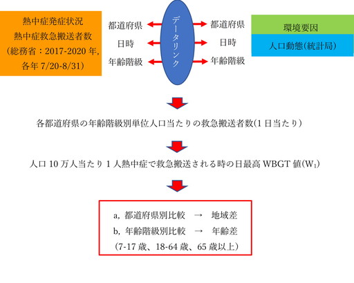 図1　各県熱中症救急搬送者数と日最高WBGT及び人口動態を用いた熱中症発症の地域差及び年齢差の分析