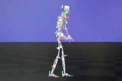 右：同時に取得した歩行データをもとに再構築した3D骨格モデル．