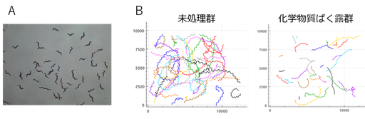行動試験における線虫の様子と運動の軌跡