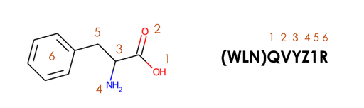 図２　WLN記法によるフェニルアラニンの表現